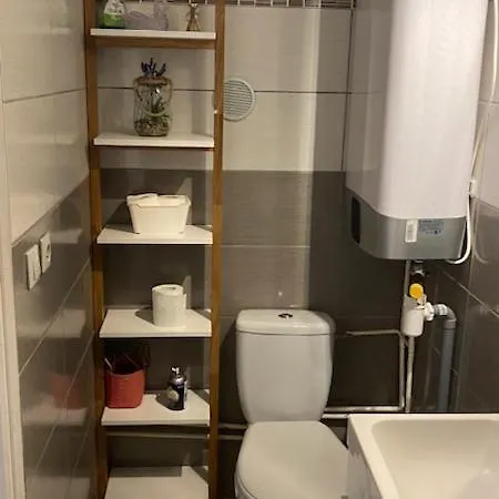Lejlighed Chez Sabine Et Pascal Meyzieu
